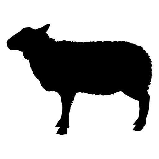 Lamb